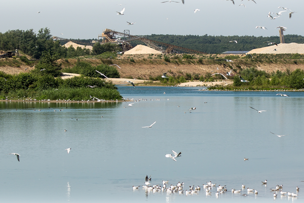 See mit Wasservögeln, im Hintergrund Sand- und Kieshalden