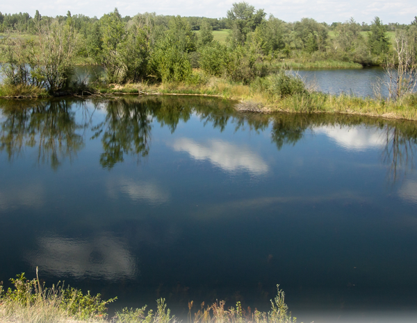Panorama eines renaturierten Abbaugewässers mit ruhiger Wasserfläche und grüner Umlandvegetation