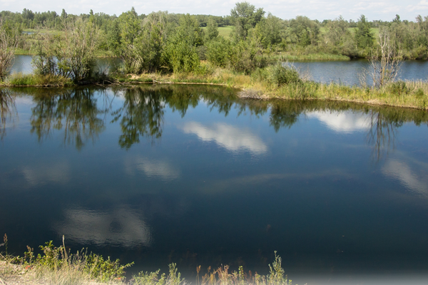 Panorama eines renaturierten Abbaugewässers mit ruhiger Wasserfläche und grüner Umlandvegetation